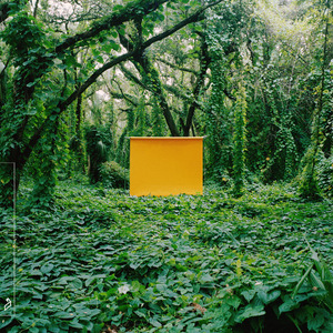 丝瓜黄色强奸视频
